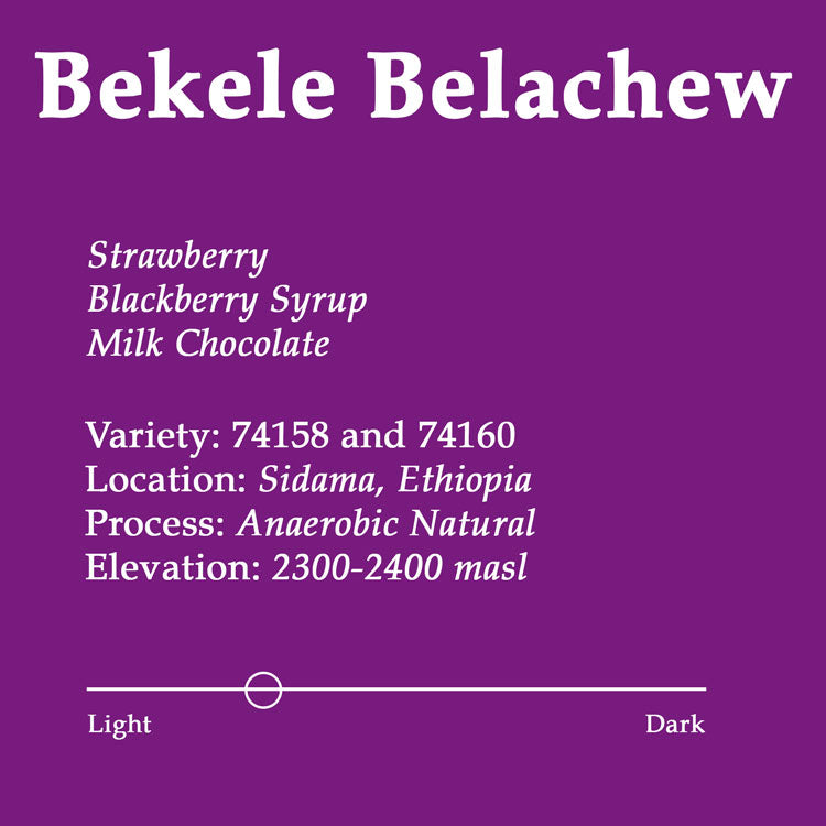 Bekele Belachew Anaerobic Natural