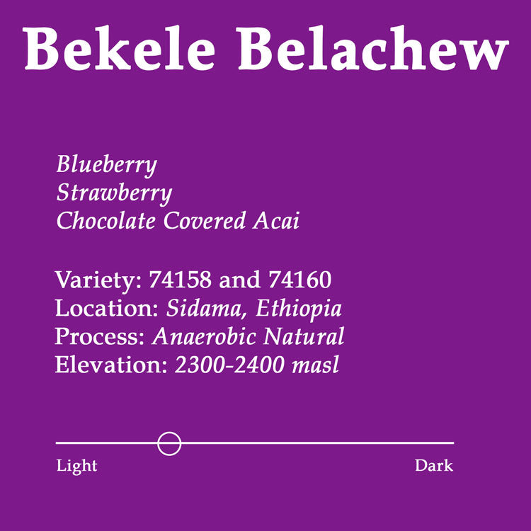 Bekele Belachew Anaerobic Natural