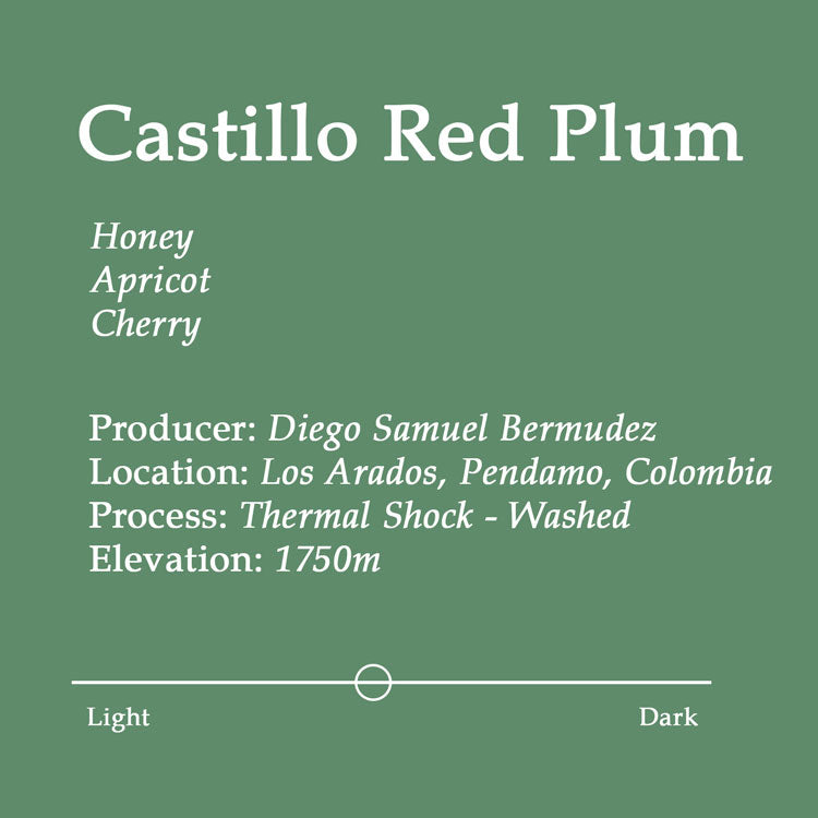 Label for Castillo Red Plum coffee with production details on a green background