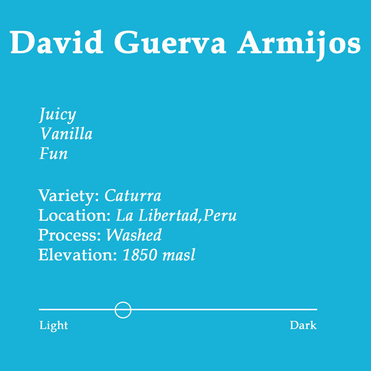 David Guerva Armijos
