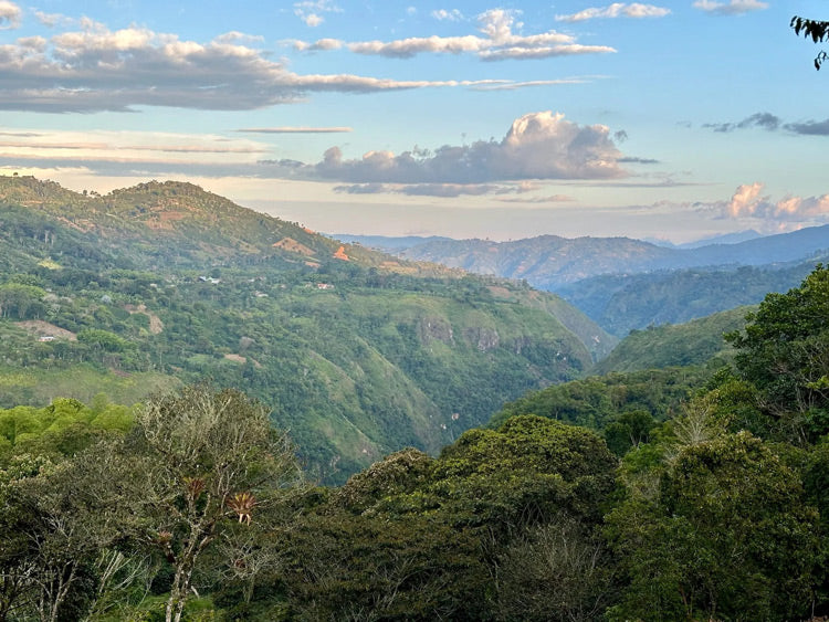 Scenic view of Finca El Chaferote