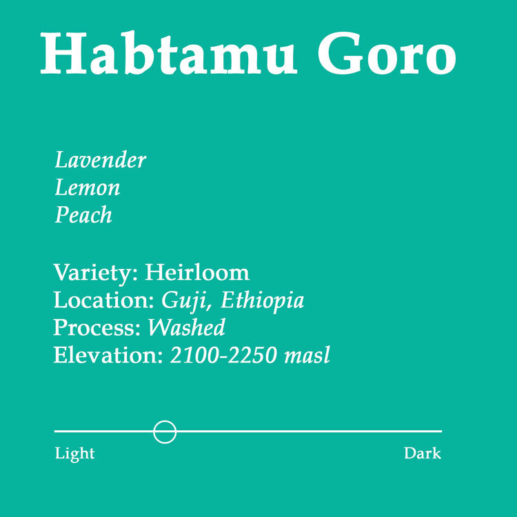 Ethiopian Habtamu Goro