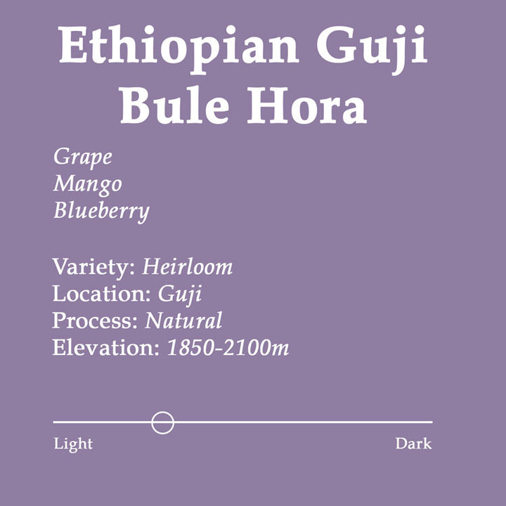 Product label for Ethiopian Guji Bule Hora coffee with flavor notes and details on a purple background.