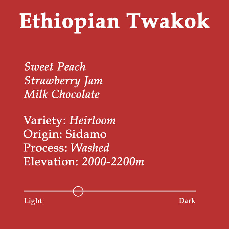 Ethiopian Twakok G1