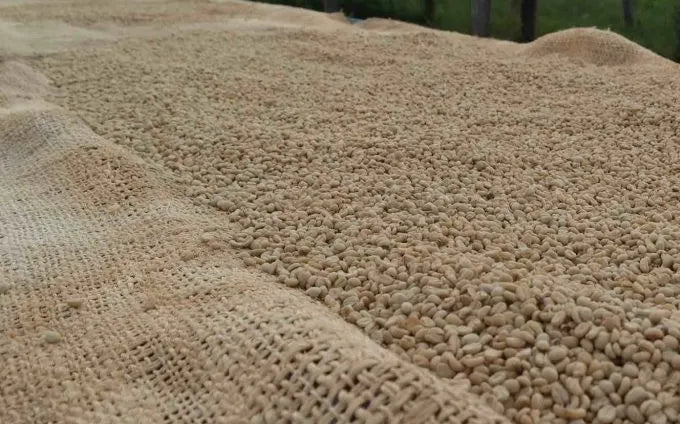 Kenya Gitare AB