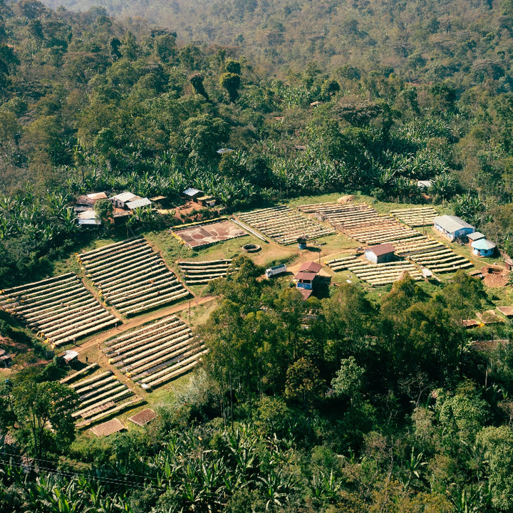 An Aerial view of an Ethiopian coffee washing station
