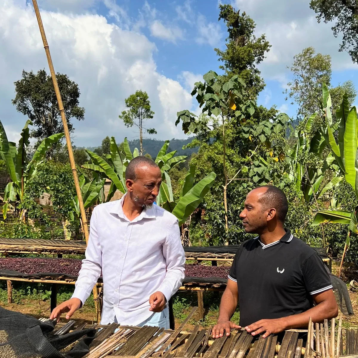 Ethiopian Habtamu Goro
