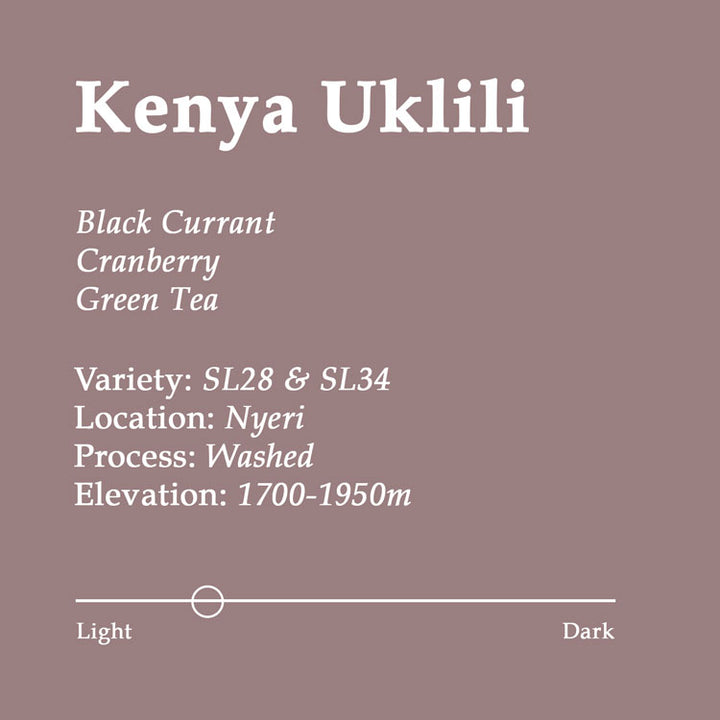 Kenya Uklili Coffee with hints of Black Currant, Cranberry and Green Tea