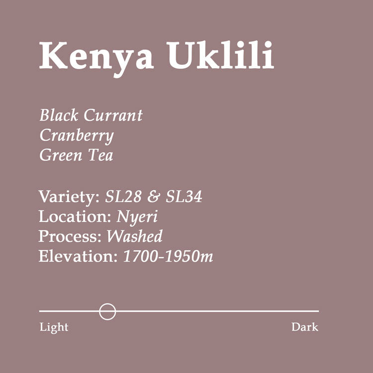 Kenya Uklili Coffee with hints of Black Currant, Cranberry and Green Tea