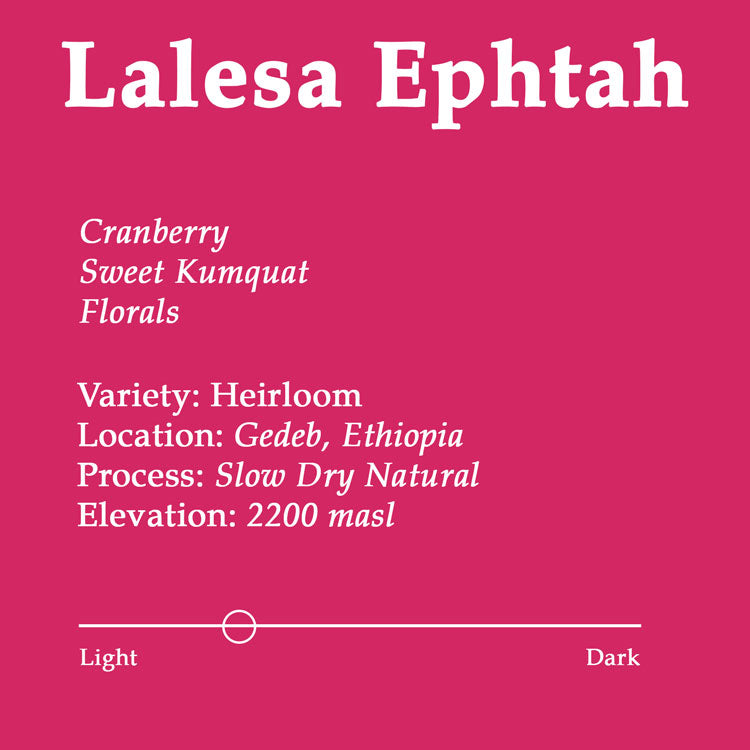 Lalesa Ephtah