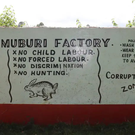 Kenya Muburi AB