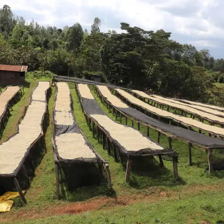 Kenya Muburi AB