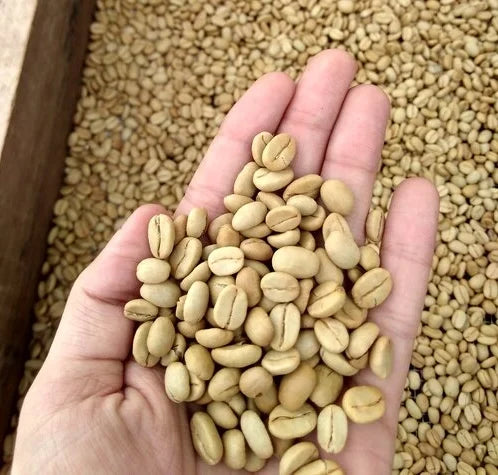 Honduras Santa Lucia Casona