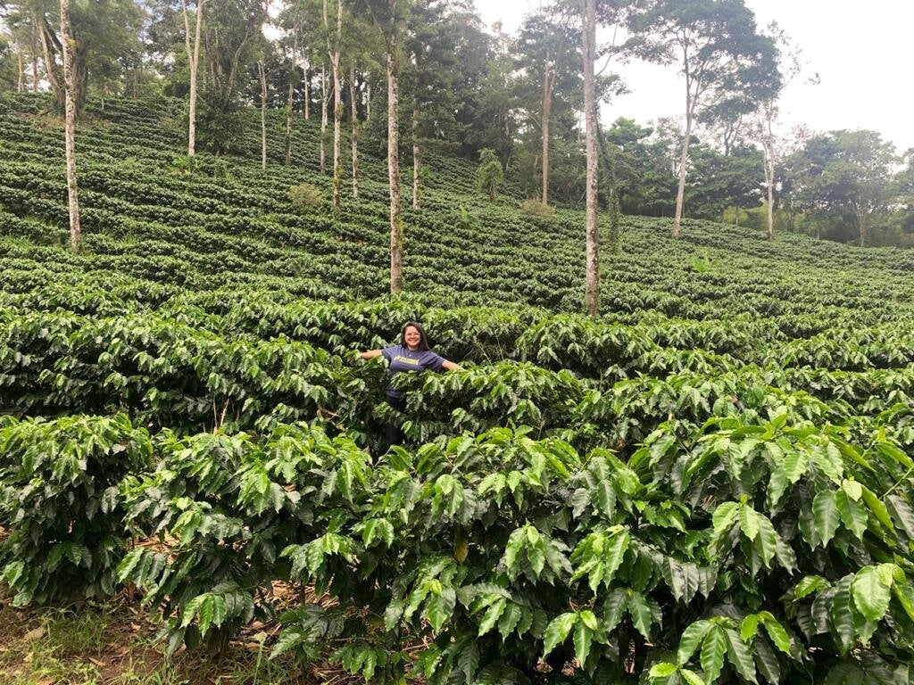 Honduras Santa Lucia Casona